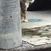 ヒメ日記 2025/08/02 09:21 投稿 ことの 西川口おかあさん