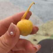 ヒメ日記 2025/08/12 15:21 投稿 ことの 西川口おかあさん