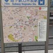 ヒメ日記 2025/08/13 10:41 投稿 ことの 西川口おかあさん