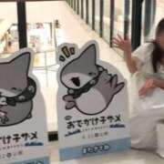 ヒメ日記 2025/08/29 09:01 投稿 ことの 西川口おかあさん