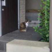 ヒメ日記 2025/09/11 17:51 投稿 ことの 西川口おかあさん