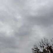 ヒメ日記 2025/10/31 14:46 投稿 ことの 西川口おかあさん