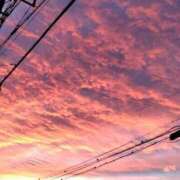 ヒメ日記 2025/11/02 17:16 投稿 ことの 西川口おかあさん