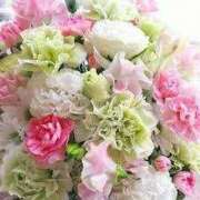 ヒメ日記 2024/12/12 11:55 投稿 ことの 大宮おかあさん