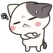 ヒメ日記 2024/12/18 16:33 投稿 ことの 大宮おかあさん