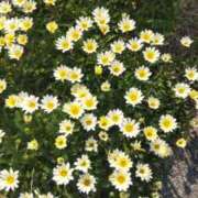 ヒメ日記 2025/05/22 07:18 投稿 ことの 大宮おかあさん