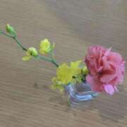 ヒメ日記 2025/05/29 10:32 投稿 ことの 大宮おかあさん