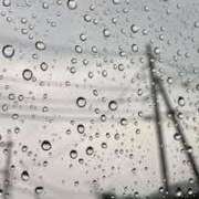 ヒメ日記 2025/05/30 10:02 投稿 ことの 大宮おかあさん