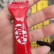 ヒメ日記 2025/05/31 14:21 投稿 ことの 大宮おかあさん