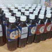 ヒメ日記 2025/06/22 18:04 投稿 ことの 大宮おかあさん