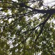 ヒメ日記 2025/07/01 11:49 投稿 ことの 大宮おかあさん