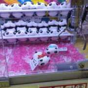 ヒメ日記 2025/07/07 10:41 投稿 ことの 大宮おかあさん