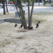 ヒメ日記 2025/07/15 11:56 投稿 ことの 大宮おかあさん