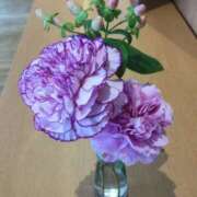 ヒメ日記 2025/07/17 15:14 投稿 ことの 大宮おかあさん