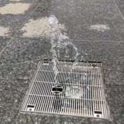 ヒメ日記 2025/07/17 15:19 投稿 ことの 大宮おかあさん