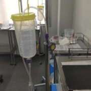 ヒメ日記 2025/07/30 13:13 投稿 ことの 大宮おかあさん