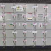 ヒメ日記 2025/08/15 11:15 投稿 ことの 大宮おかあさん