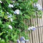 ヒメ日記 2025/10/24 16:06 投稿 ことの 大宮おかあさん