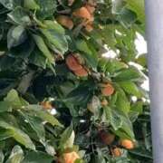 ヒメ日記 2025/10/31 08:46 投稿 ことの 大宮おかあさん