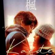 ヒメ日記 2025/10/31 14:26 投稿 ことの 大宮おかあさん