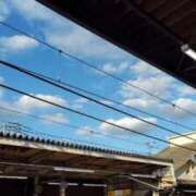 ヒメ日記 2025/11/14 17:26 投稿 ことの 大宮おかあさん