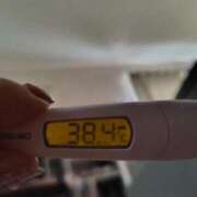 ヒメ日記 2025/11/19 12:45 投稿 ことの 大宮おかあさん