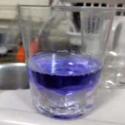 ヒメ日記 2025/11/19 17:56 投稿 ことの 大宮おかあさん