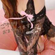 ヒメ日記 2025/10/24 15:54 投稿 ここ☆ 豊橋豊川ちゃんこ