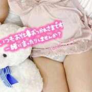 ヒメ日記 2025/10/25 15:02 投稿 ここ☆ 豊橋豊川ちゃんこ