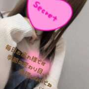 ここ☆ 🌃 豊橋豊川ちゃんこ