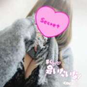 ヒメ日記 2025/12/24 11:02 投稿 ここ☆ 豊橋豊川ちゃんこ