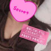 ここ☆ ꒰՞ɞ̴̶̷̥ ⩊ ɞ̴̶̷̥ ꒱֯ 豊橋豊川ちゃんこ