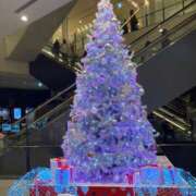 ヒメ日記 2024/12/05 13:15 投稿 ゆきな 群馬高崎前橋ちゃんこ