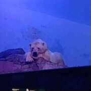 ヒメ日記 2025/09/11 15:45 投稿 ゆきな 群馬高崎前橋ちゃんこ