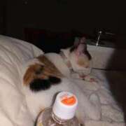 ゆきな 出勤しました！ 群馬高崎前橋ちゃんこ