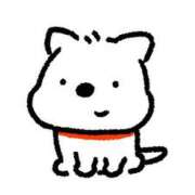 ヒメ日記 2025/01/20 11:00 投稿 かすみ【ロイヤルOP対応】 あなたの全てを包み込む　優しいひとづま