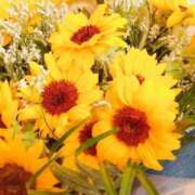 あさひ 毎年この時期は? 五反田人妻ヒットパレード（シンデレラグループ）