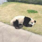 ヒメ日記 2025/02/14 19:16 投稿 音嶋このあ 皇帝別館（こうていべっかん）