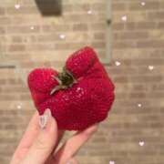 ヒメ日記 2025/03/16 20:06 投稿 音嶋このあ 皇帝別館（こうていべっかん）