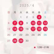 ヒメ日記 2025/04/04 01:16 投稿 音嶋このあ 皇帝別館（こうていべっかん）