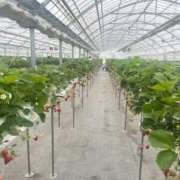 ヒメ日記 2025/05/11 09:08 投稿 音嶋このあ 皇帝別館（こうていべっかん）