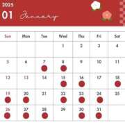 ヒメ日記 2025/01/06 14:01 投稿 まりや ドリーム水戸