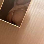 ヒメ日記 2025/03/14 09:59 投稿 すみれ 花夫人