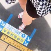 ヒメ日記 2025/05/03 14:07 投稿 すみれ 花夫人