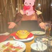 ヒメ日記 2025/10/15 08:42 投稿 すみれ 花夫人