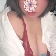 ヒメ日記 2025/11/16 11:48 投稿 すみれ 花夫人