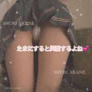 ヒメ日記 2025/01/31 10:16 投稿 茜しゅり ウルトラブレイズ