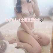 ヒメ日記 2025/02/08 10:36 投稿 茜しゅり ウルトラブレイズ