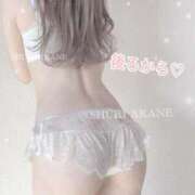 ヒメ日記 2025/03/25 12:56 投稿 茜しゅり ウルトラブレイズ