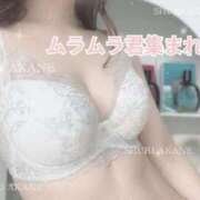 ヒメ日記 2025/04/03 08:16 投稿 茜しゅり ウルトラブレイズ